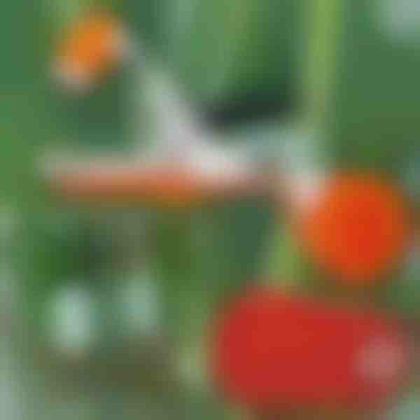 Ferramenta instantânea para amarrar plantas | PLANTBRAND