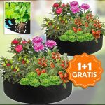 PLANTIE